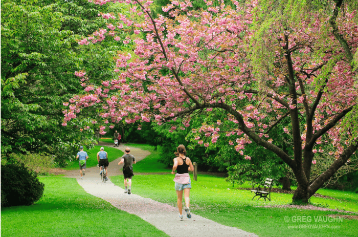 Washington Park Arboretum University