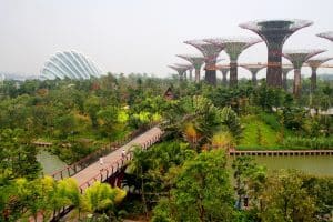 gardens-by-the-bay-singapore-attraction
