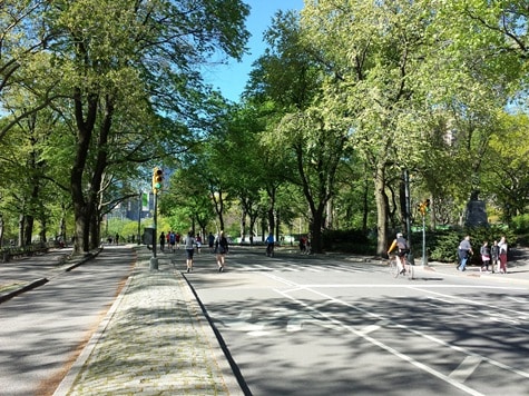 central-park-road