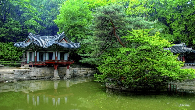 Changdeokgung Secret Garden Great Runs