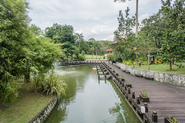 Perdana Botanical Gardens Great Runs
