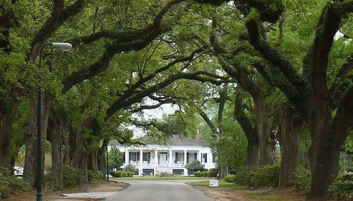 Avenue of the Oaks College Park Great Runs