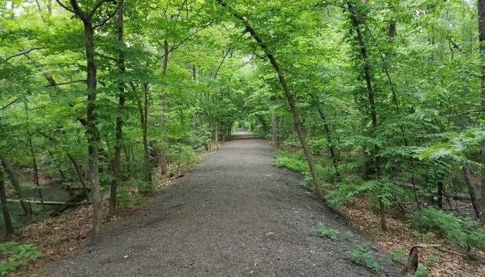 Rock Creek Trail Great Runs