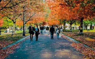 Commonwealth Ave. Mall in fall