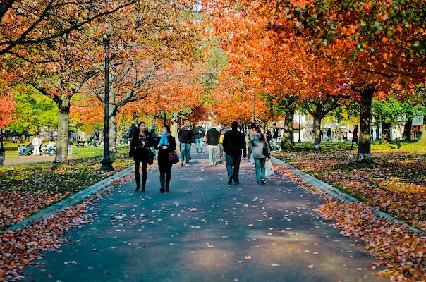 Commonwealth Ave. Mall in fall