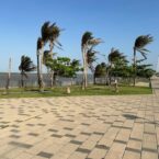 Malecón del Río, Barranquilla