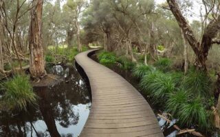 Beenyup Swamp Boardwalk