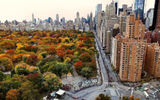 New York City Fall