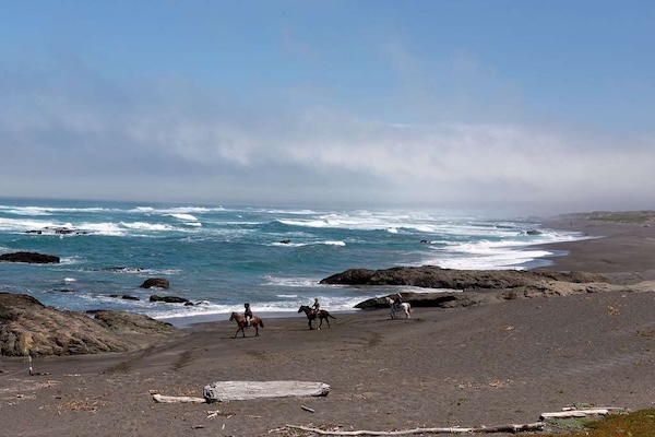 Ten Mile Beach Fort Bragg