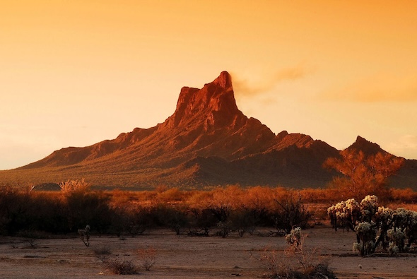 Picacho Peak State Park: Desert Trails & Wildflowers! - Great Runs