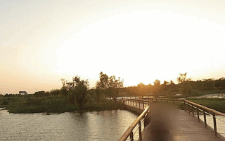 Gonghuwan Wetland Park