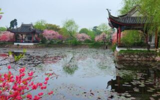 Liyuan Garden
