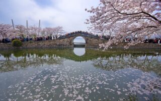 Yuantouzhu Park Turtle Head Island