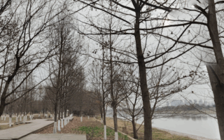 Yangtze River Path Nanjing