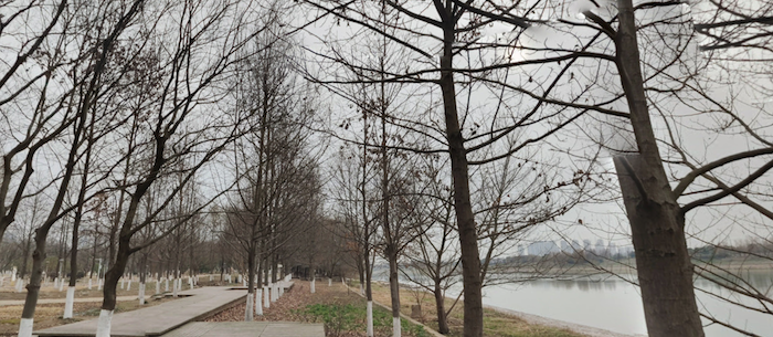 Yangtze River Path Nanjing