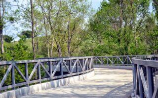 Cotton Belt Trail, Waco